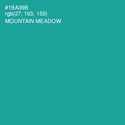 #1BA39B - Mountain Meadow Color Image